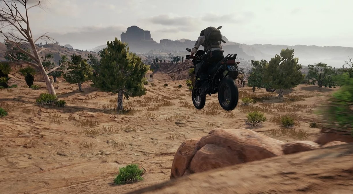 картинки и скриншоты онлайн игры PlayerUnknown’s Battlegrounds