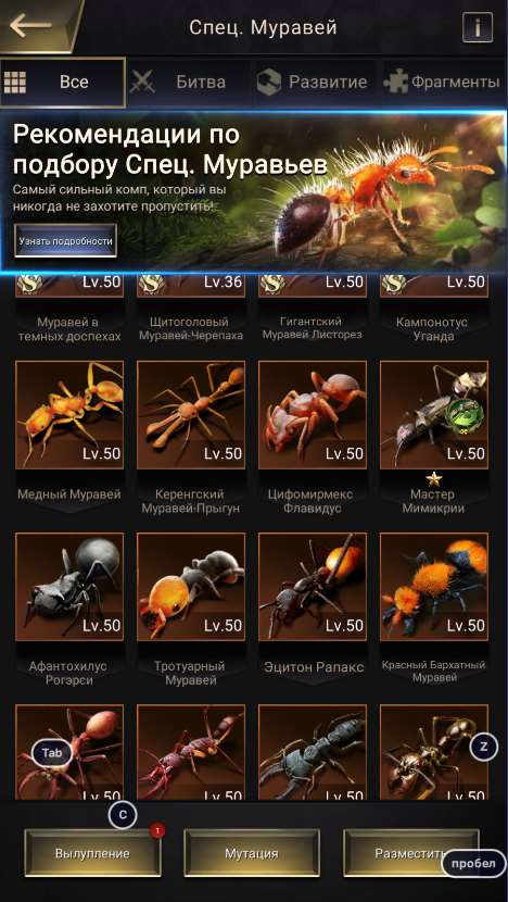 продажа аккаунта к игре Ant Legion, The Ants