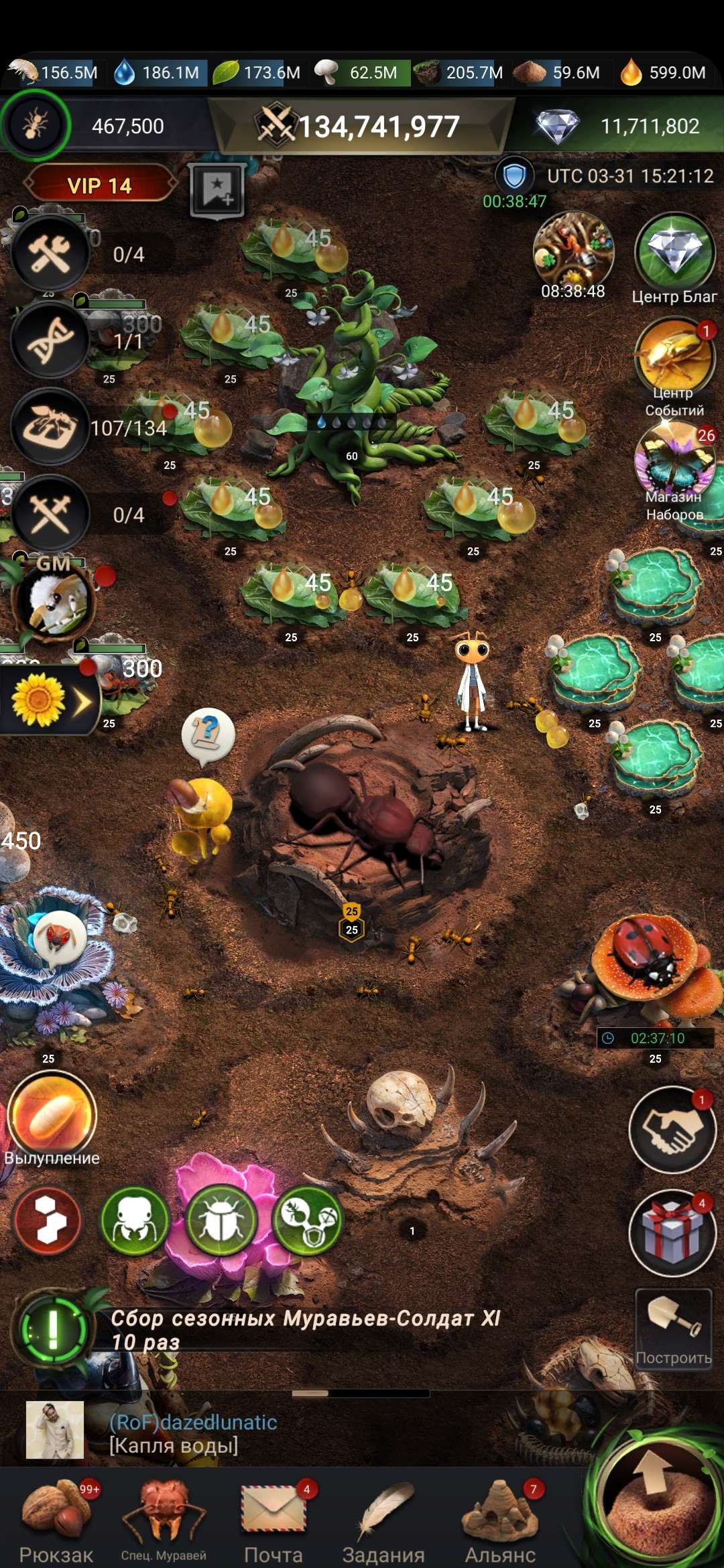 Скриншоты к игре The Ants продажа аккаунта к игре The Ants