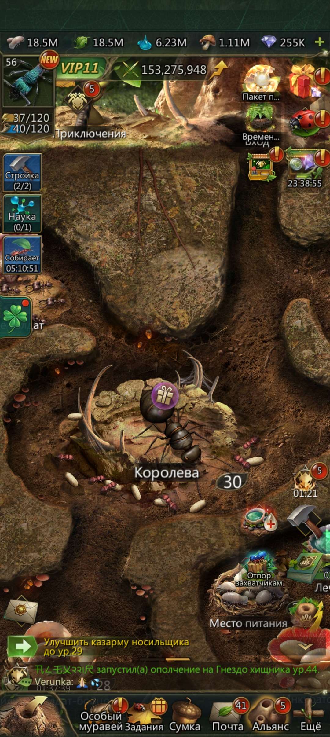 продажа аккаунта к игре Ant Legion