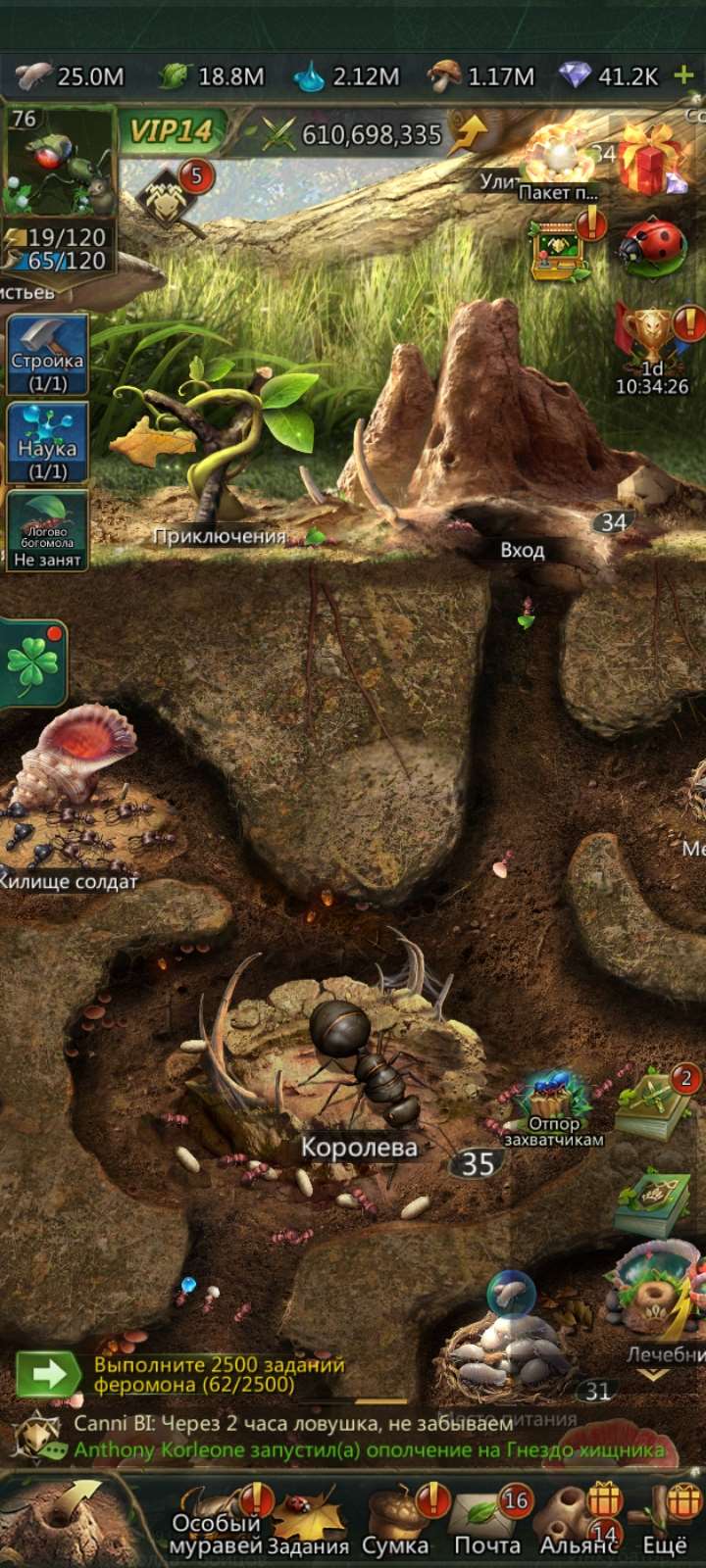 Скриншоты к игре Ant Legion продажа аккаунта к игре Ant Legion