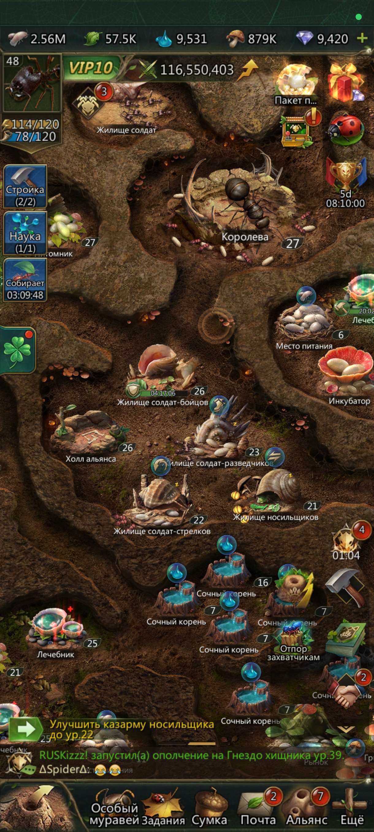 Скриншоты к игре Ant Legion продажа аккаунта к игре Ant Legion