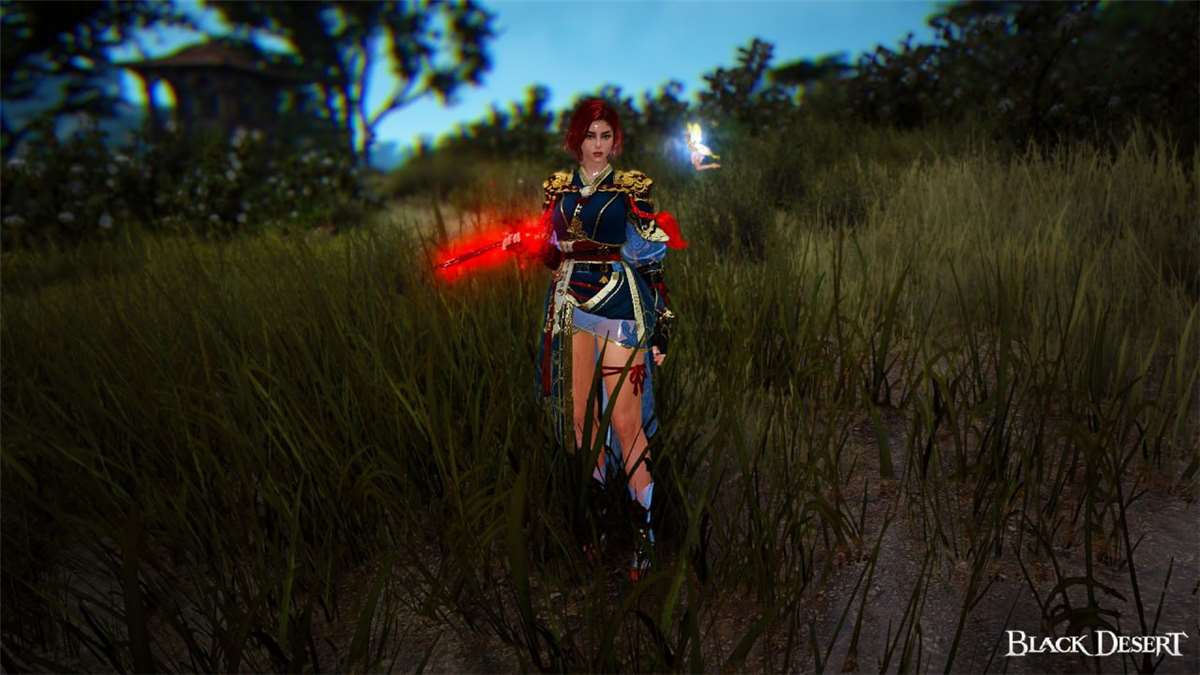 Скриншоты к игре Black Desert продажа аккаунта к игре Black Desert