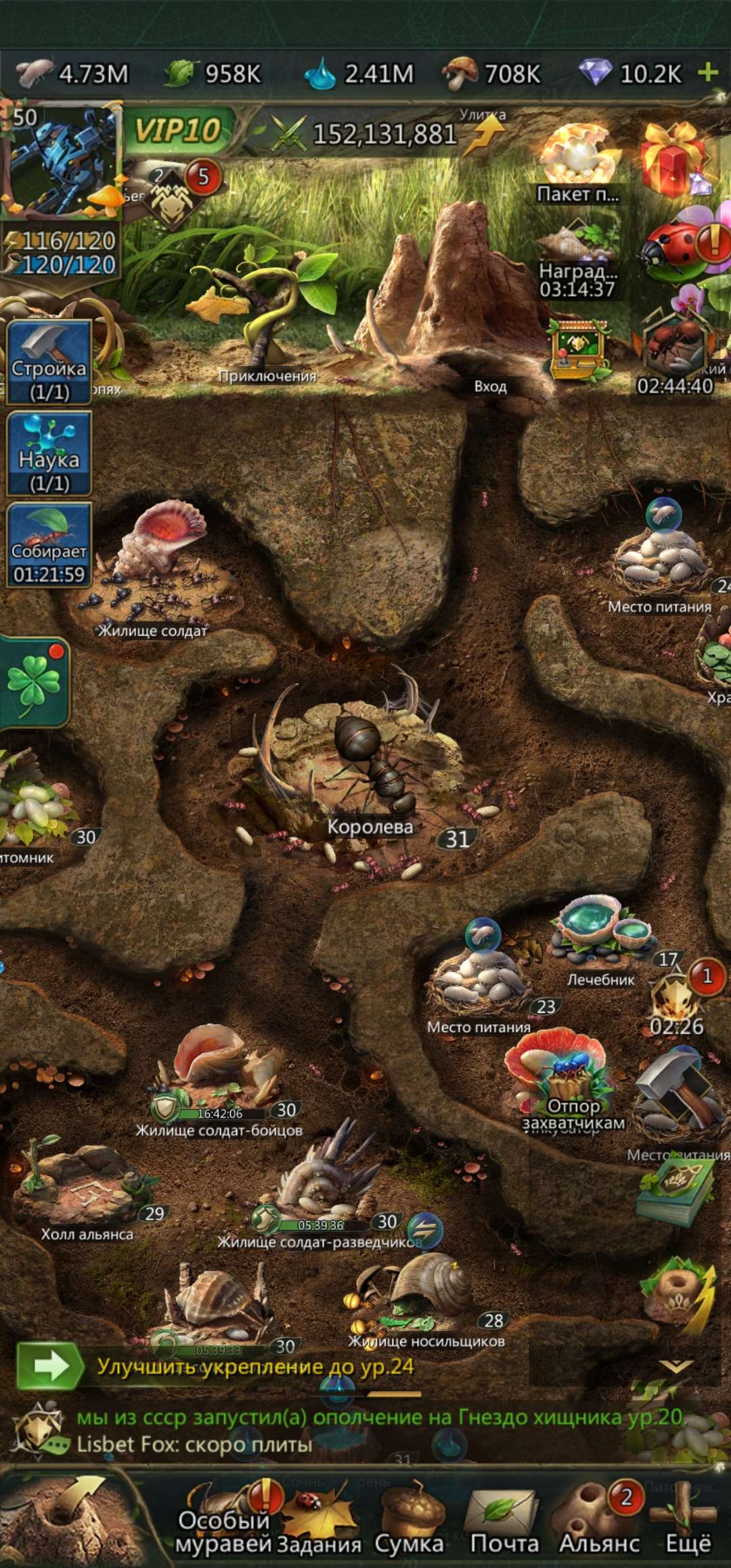 продажа аккаунта к игре Ant Legion