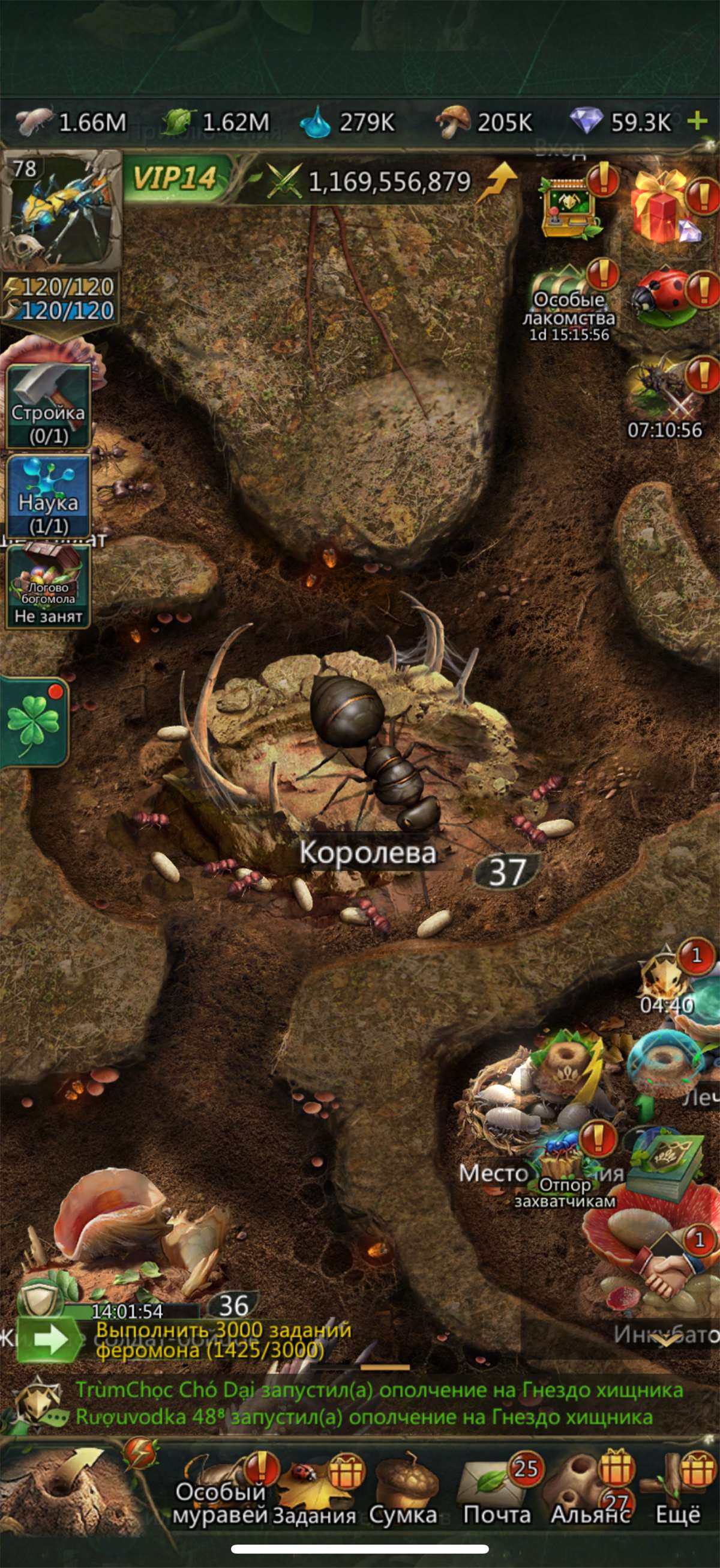 продажа аккаунта к игре Ant Legion