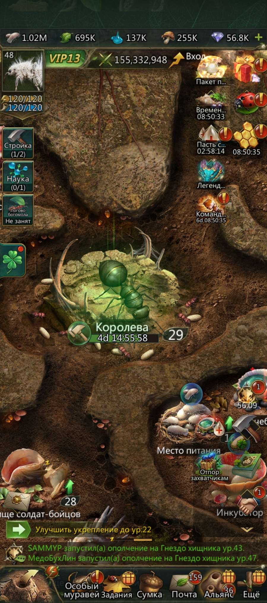 продажа аккаунта к игре Ant Legion