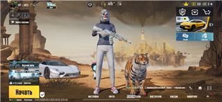 купить аккаунт PUBG MOBILE