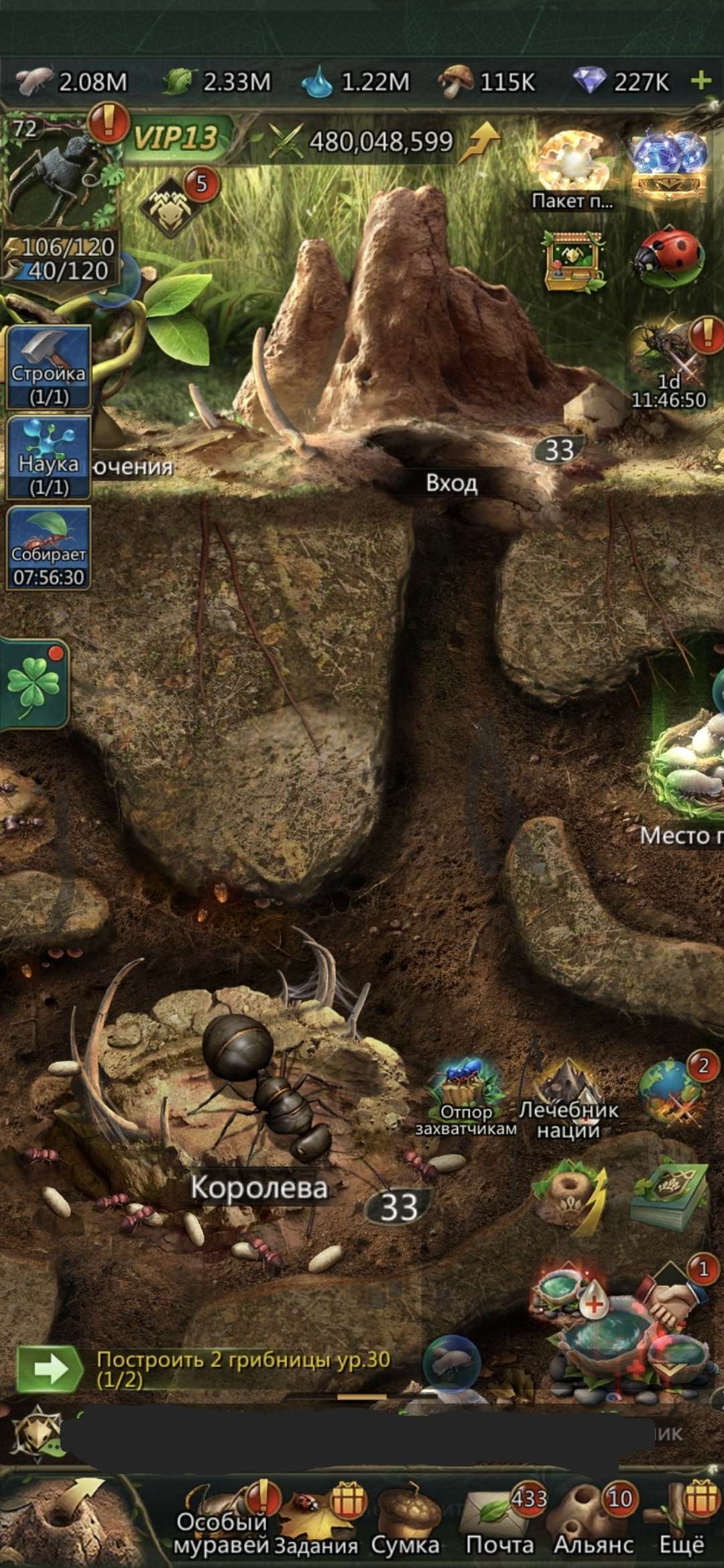 продажа аккаунта к игре Ant Legion