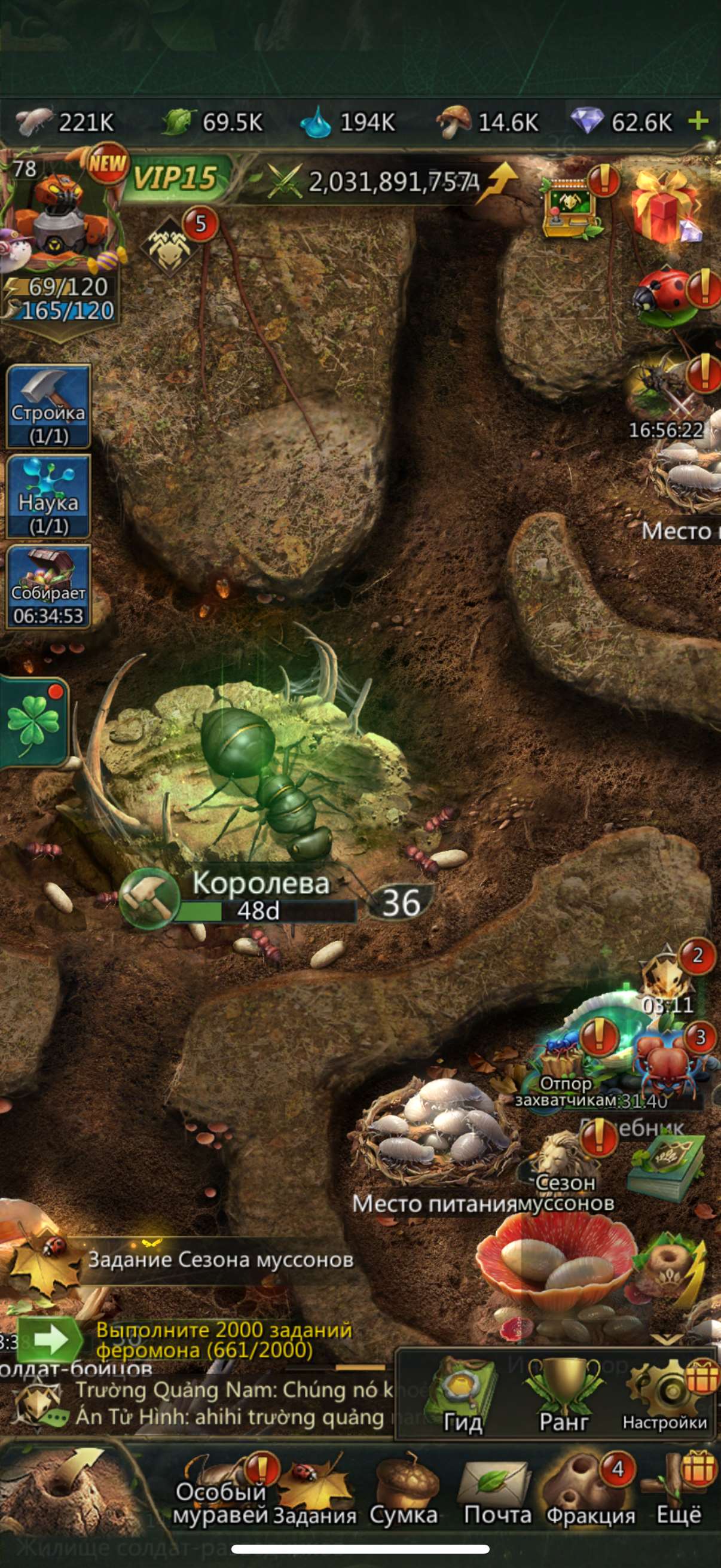 продажа аккаунта к игре Ant Legion