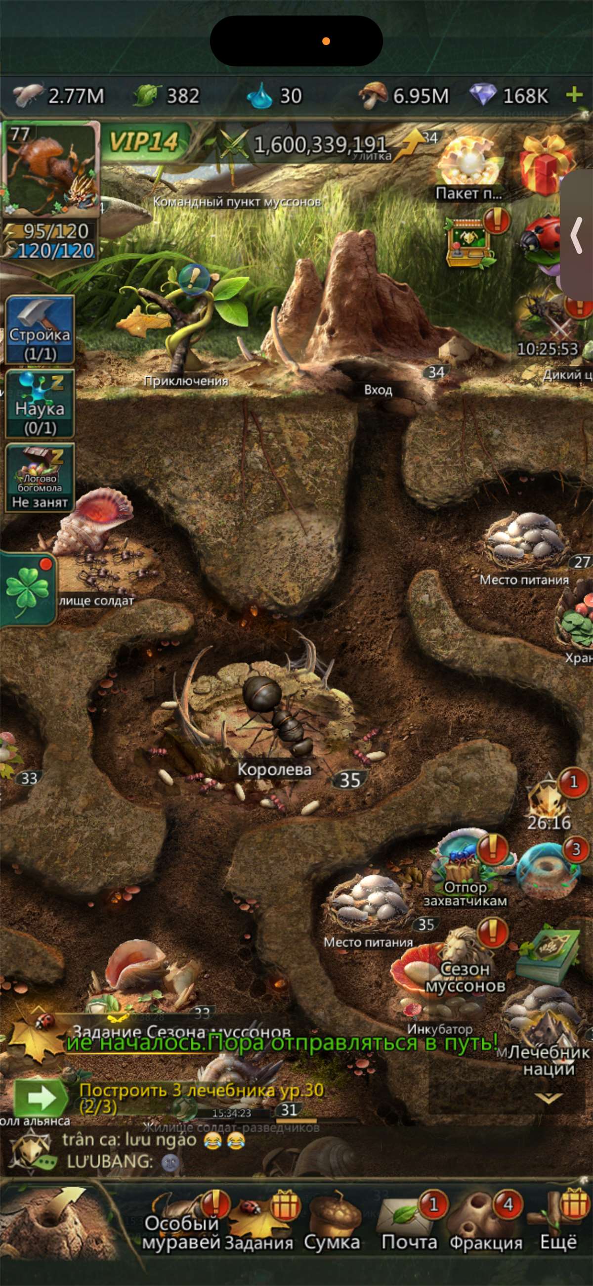 продажа аккаунта к игре Ant Legion