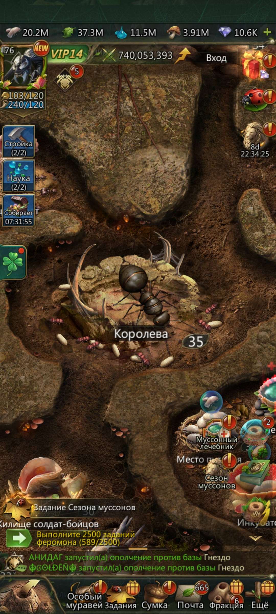 продажа аккаунта к игре Ant Legion