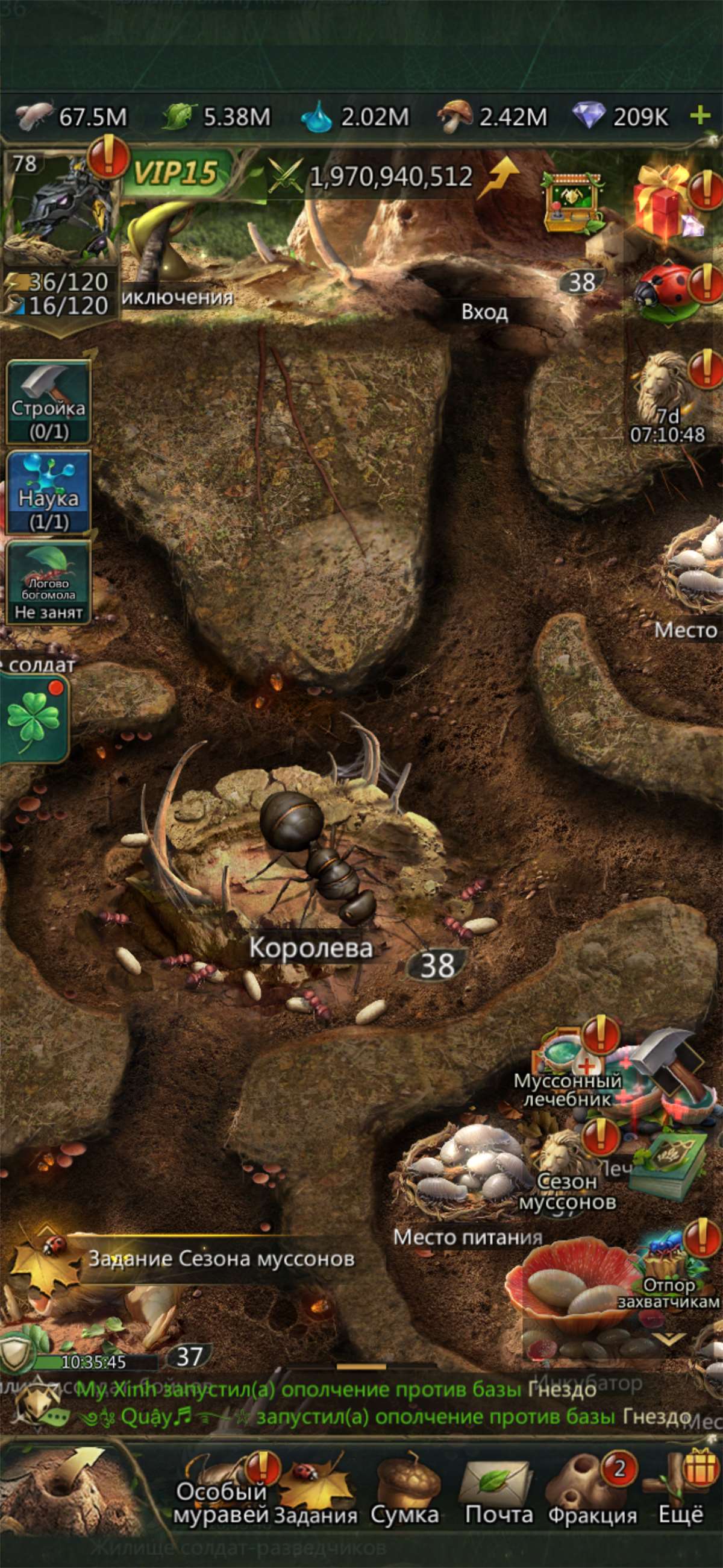 продажа аккаунта к игре Ant Legion