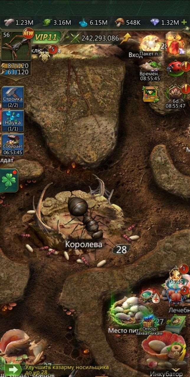 продажа аккаунта к игре Ant Legion