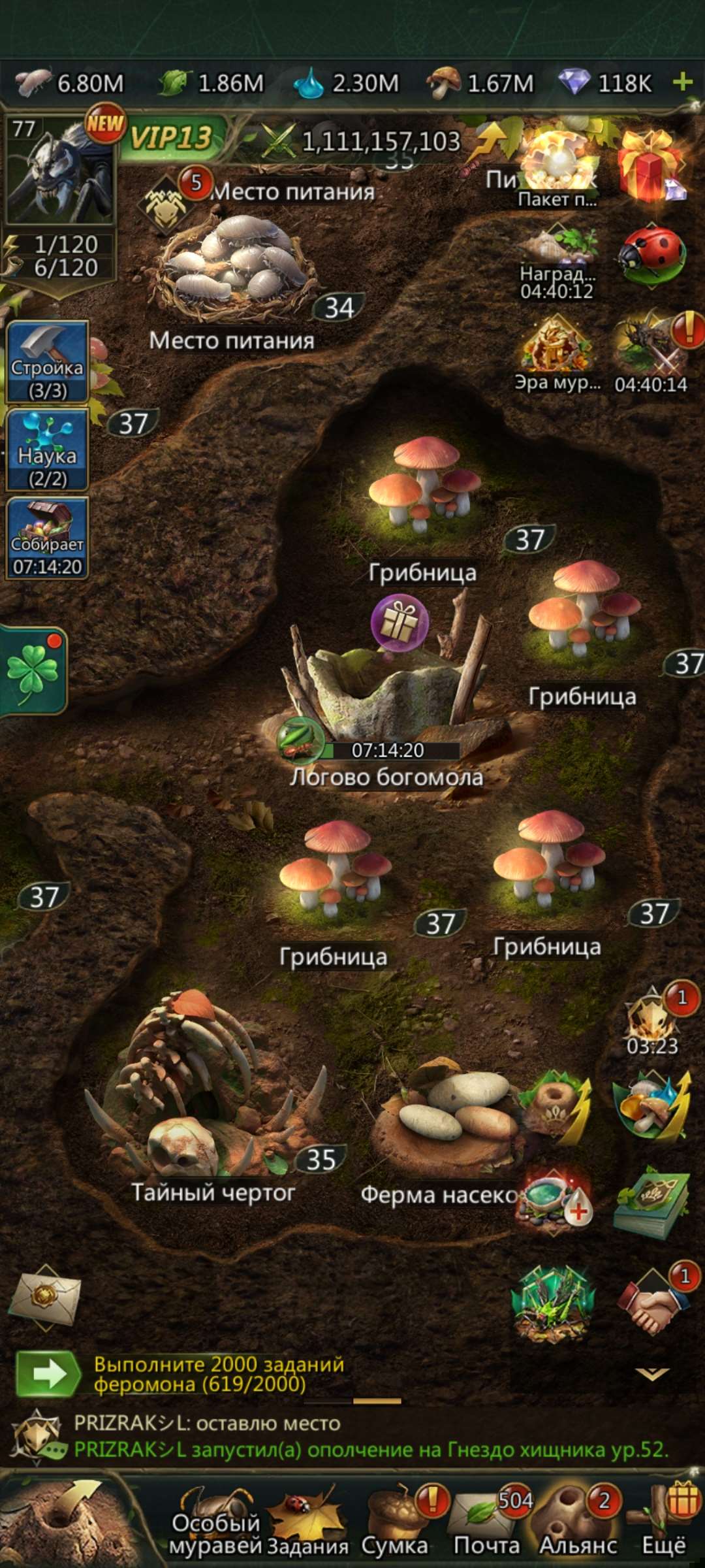 продажа аккаунта к игре Ant Legion