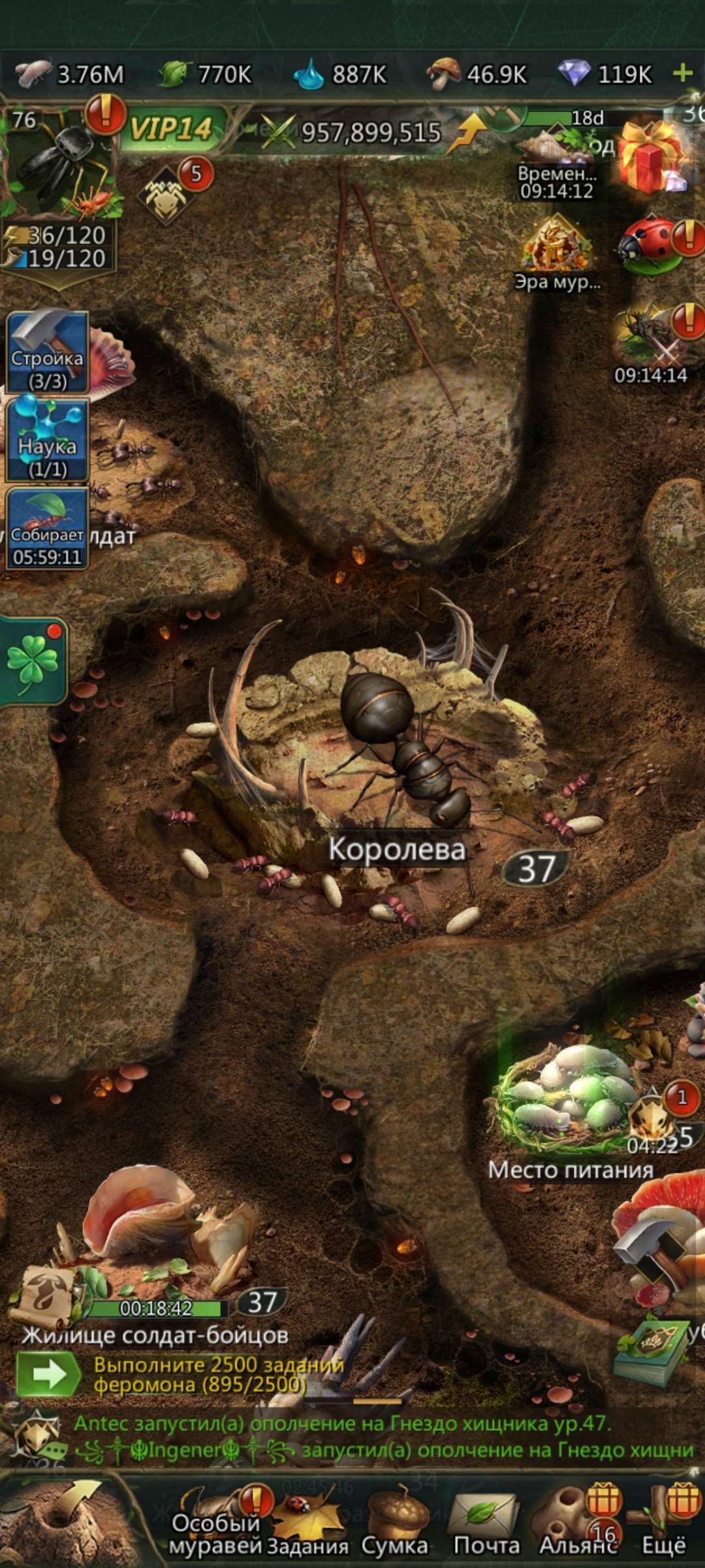 продажа аккаунта к игре Ant Legion