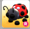 продажа предметов, вещей ladybug ride - Предметы, вещи в Roblox