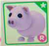 Питомец свинка ride в Adopt me в Roblox - игровые ценности