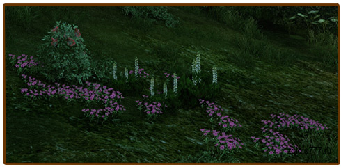 Таблица роста растений в ArcheAge - картинки