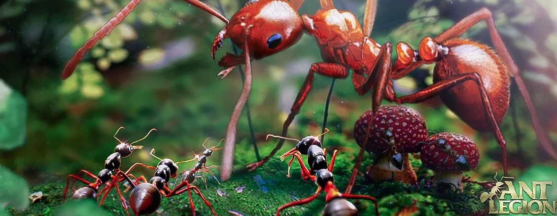 Предметы, вещи в Ant Legion, The Ants. Покупка продажа
